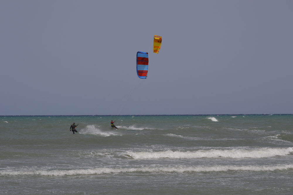 _DSC0422