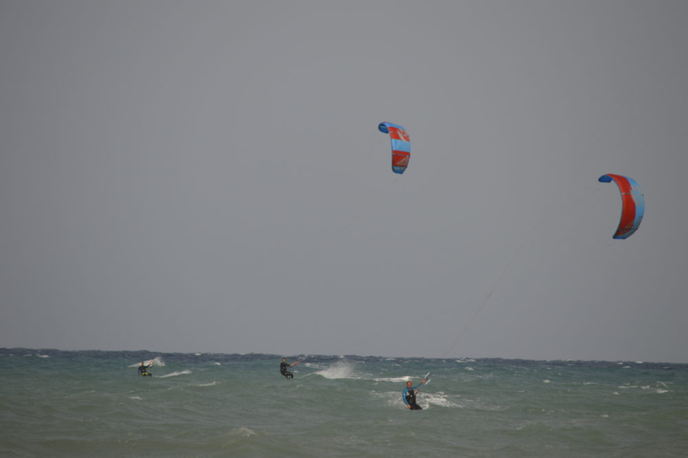 _DSC0524