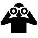 Supervisione Ico